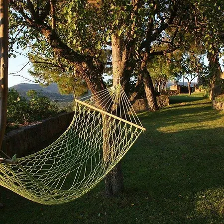 Jardin De La Muralla