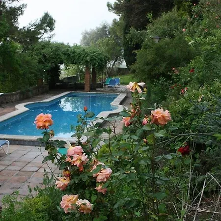 Отель Jardin De La Muralla 3*